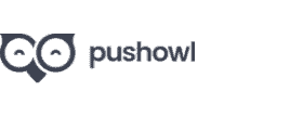 Pushowl Partner